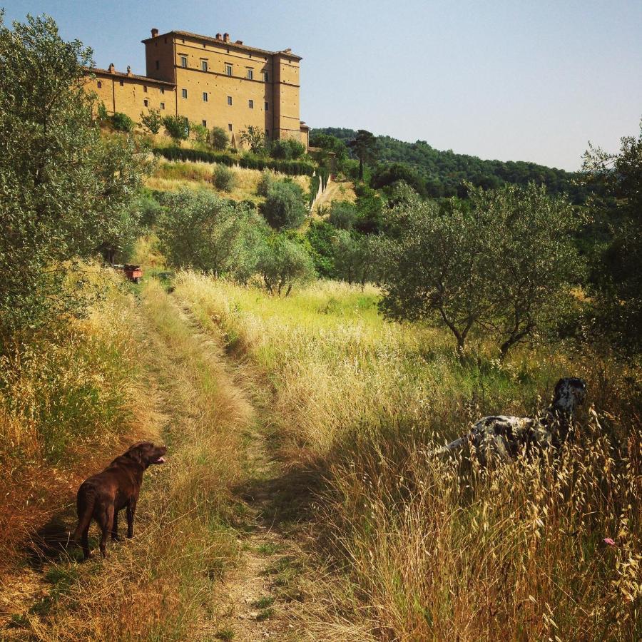 Castello Di Potentino Seggiano Luaran gambar